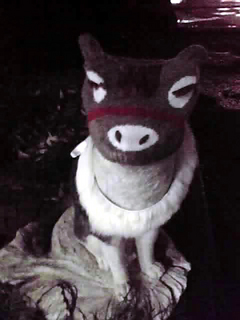 120331.jpg