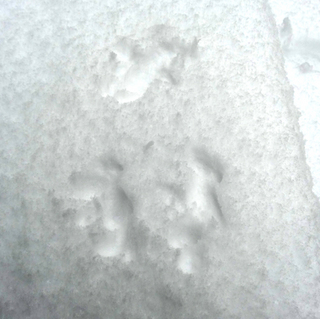 130115_5.jpg
