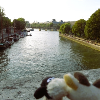 2013_3.JPG